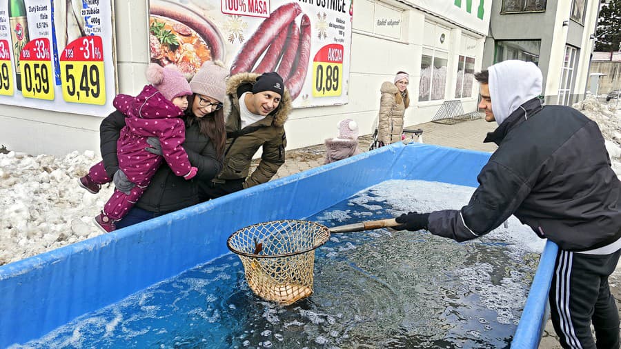 Predaj vianočných kaprov púta