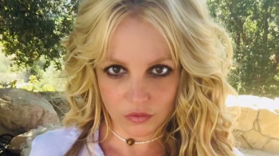 Britney sa často s fanúšikmi delí o zábery z jej súkromného života.