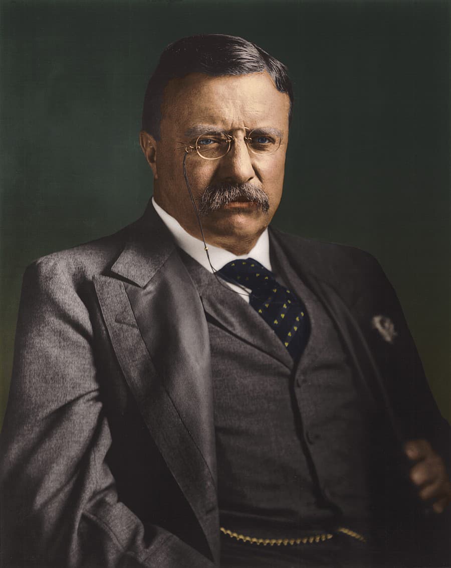 Theodore Roosevelt
