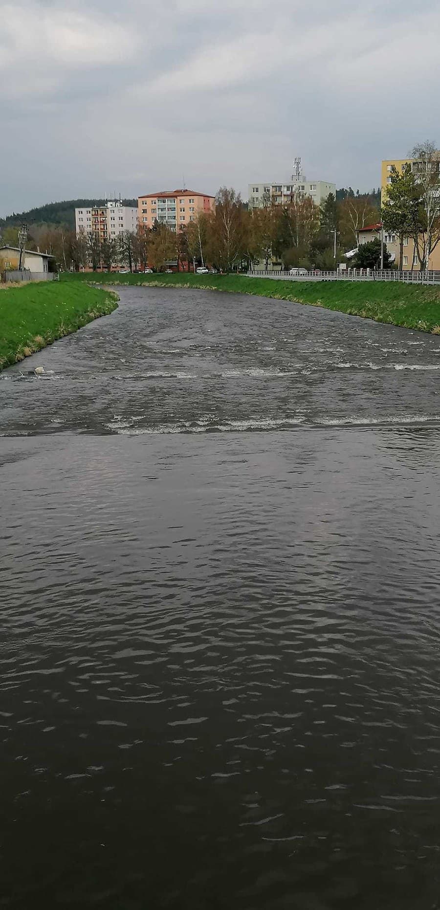 Rieka Poprad v Kežmarku.