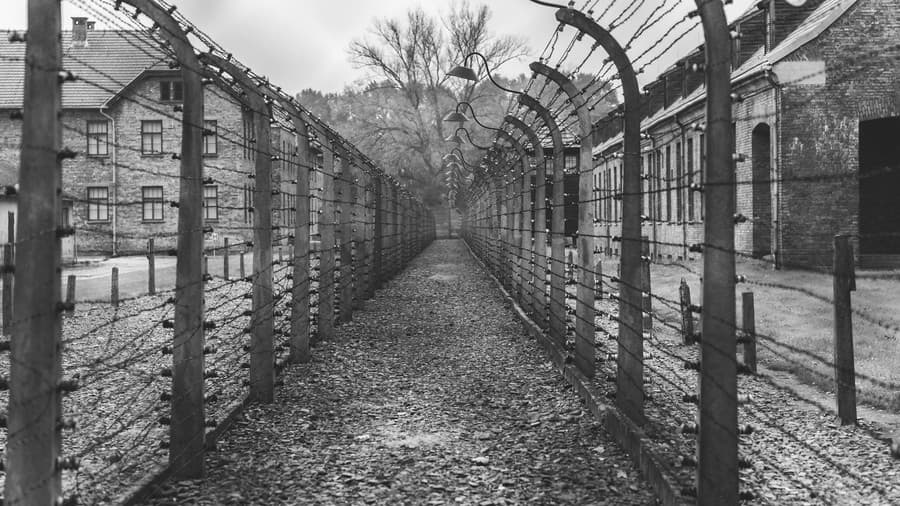 Auschwitz 