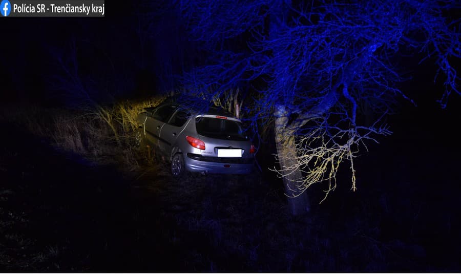 Opitý muž odcudzil auto, po nehode s ním skončil v kríkoch.
