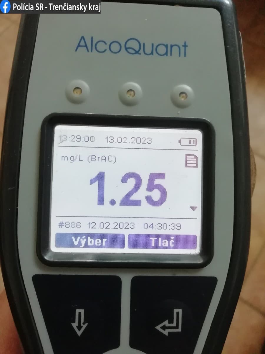 Opitý muž odcudzil auto, po nehode s ním skončil v kríkoch.
