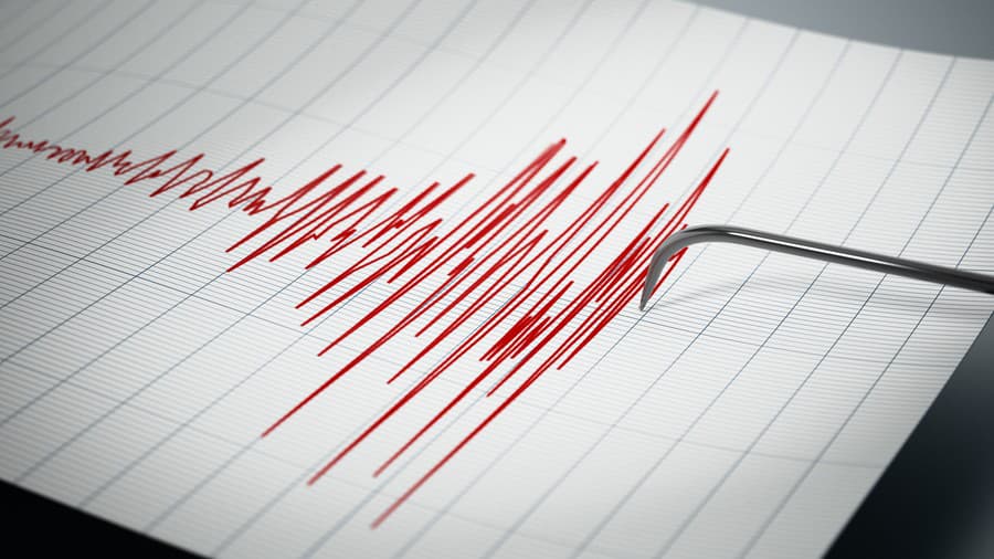 Seismograph recording the seismic