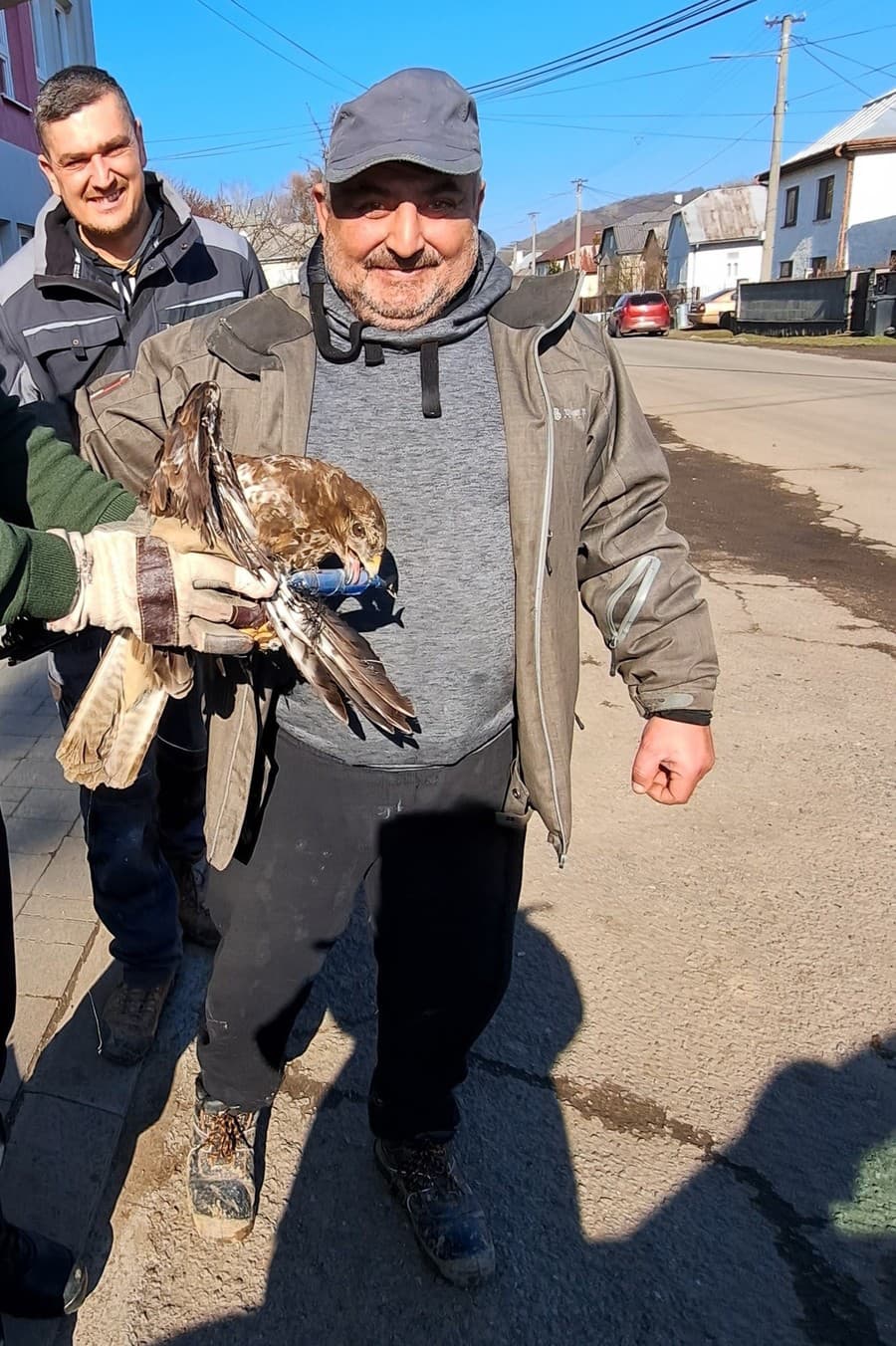 Myšiak sa zachytil o rybársku návnadu.