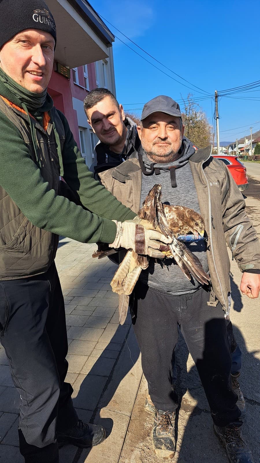 Vtáka si prevzali pracovníci ŠOP Prešov.