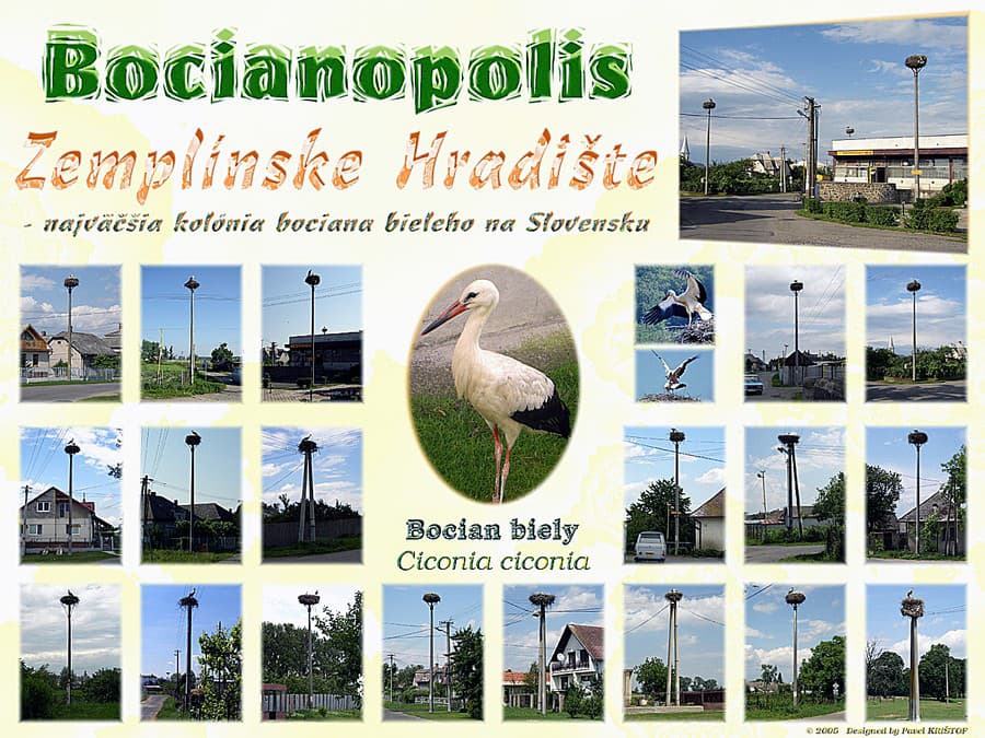 Bocianopolis