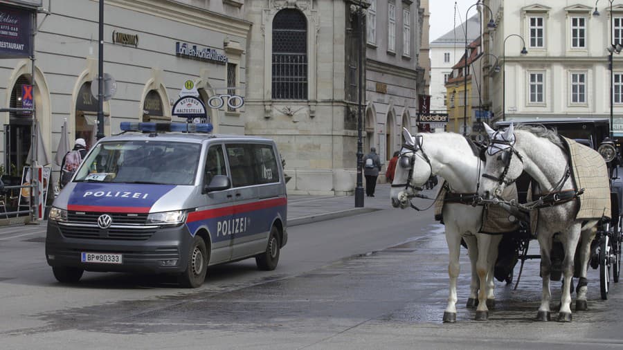 Hliadky polície vo Viedni