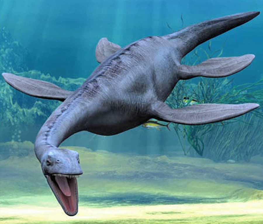 Pleziosaurus žil v ranom jurskom období.