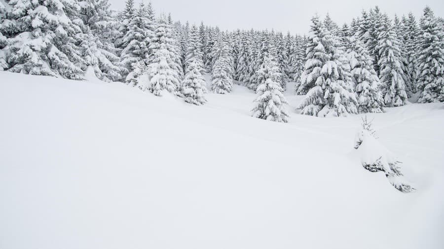 Winter Landscape