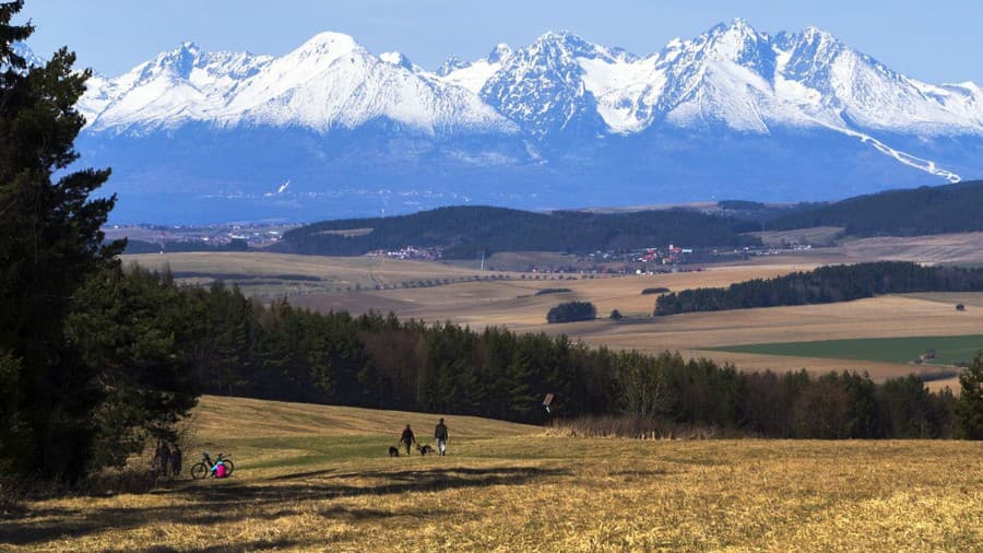 Takmer pätina územia Slovenska