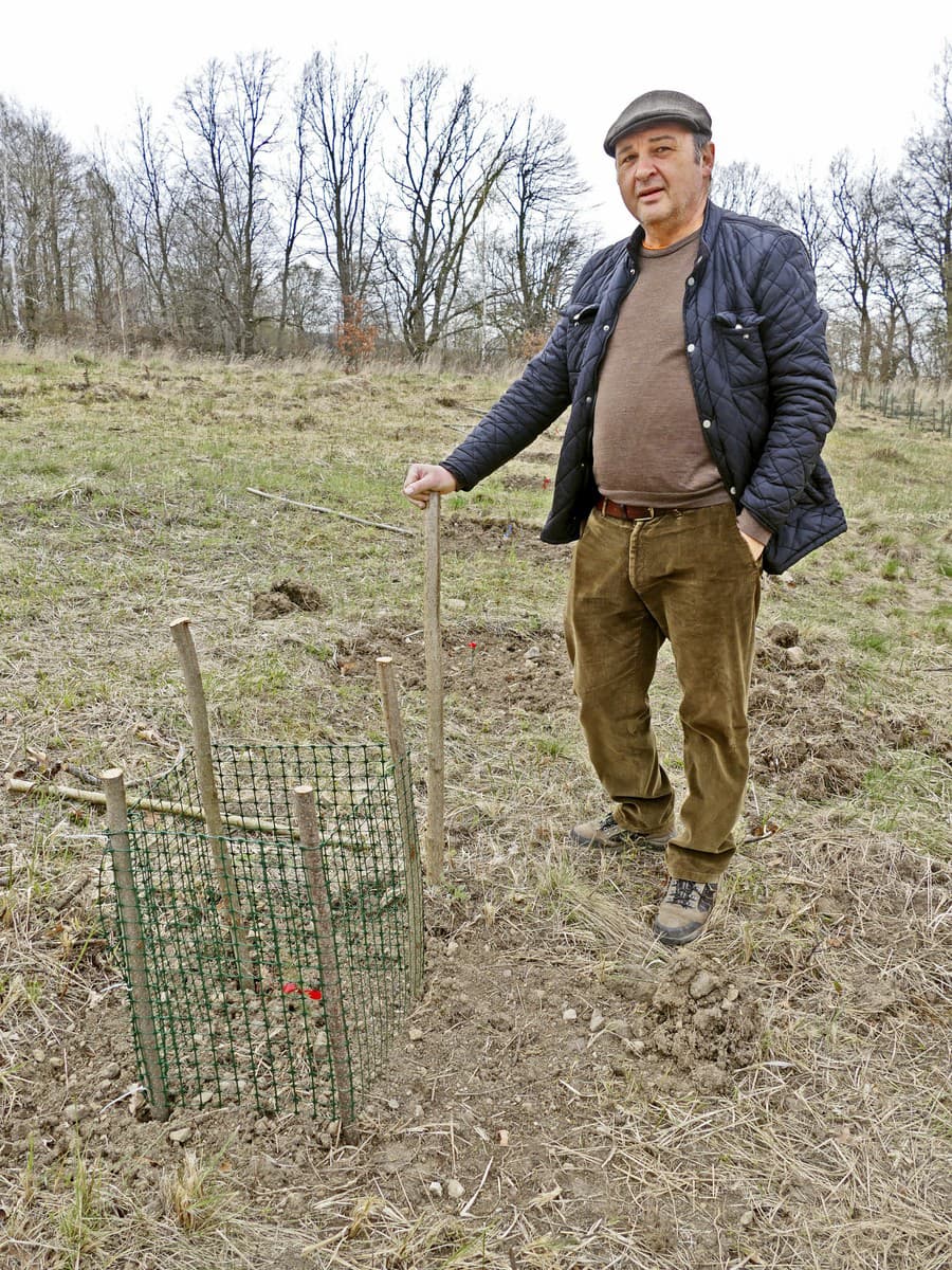 Šéf obecného podniku V.