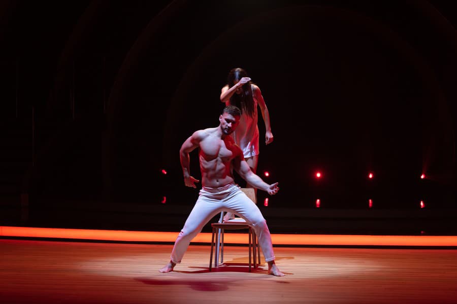 S tanečnou partnerkou Aničkou v Let‘s Dance získali bronzovú medailu.