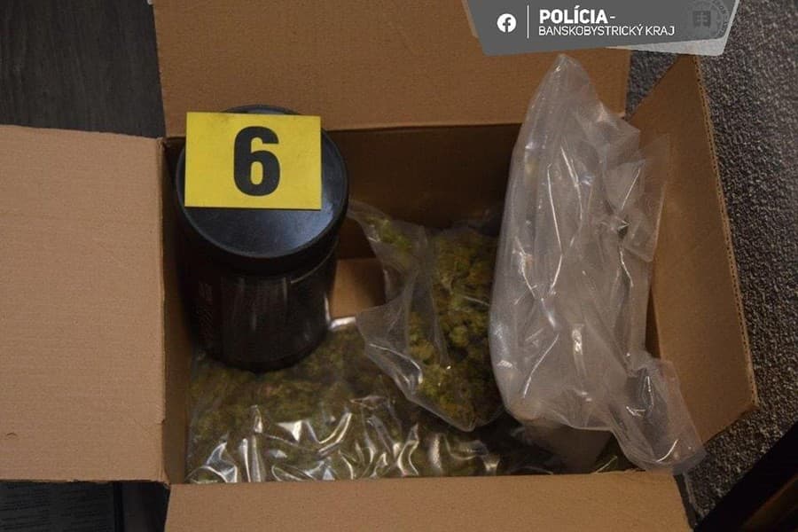 Polícia obvinila drogového dílera