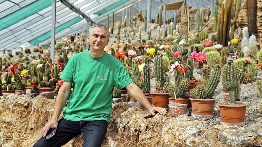Pestovateľ kaktusov Jozef Šuráni (57) vo svojom kráľovstve.