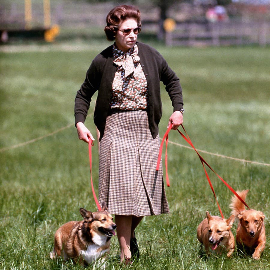Alžbeta II. milovala psíkov