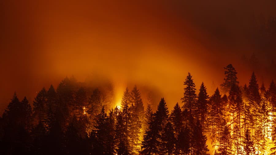 Situácia s lesnými požiarmi