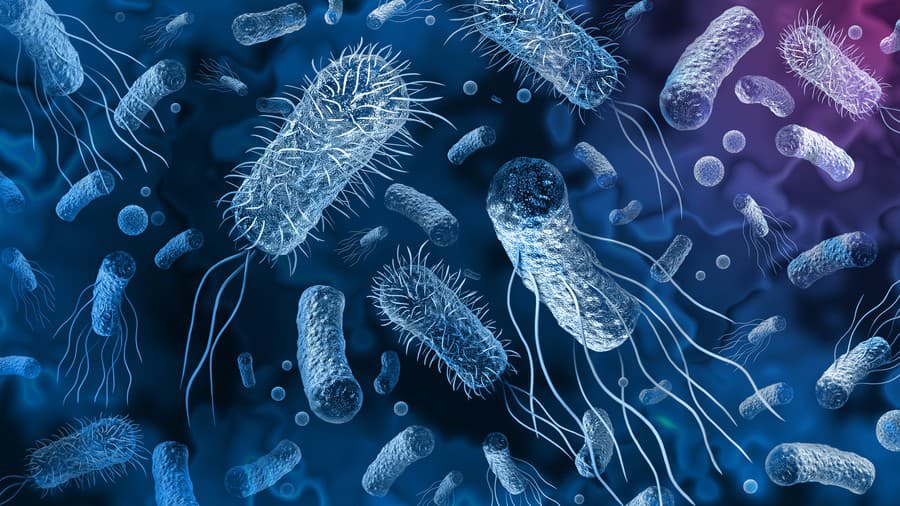 Vedci objavili baktérie, ktoré
