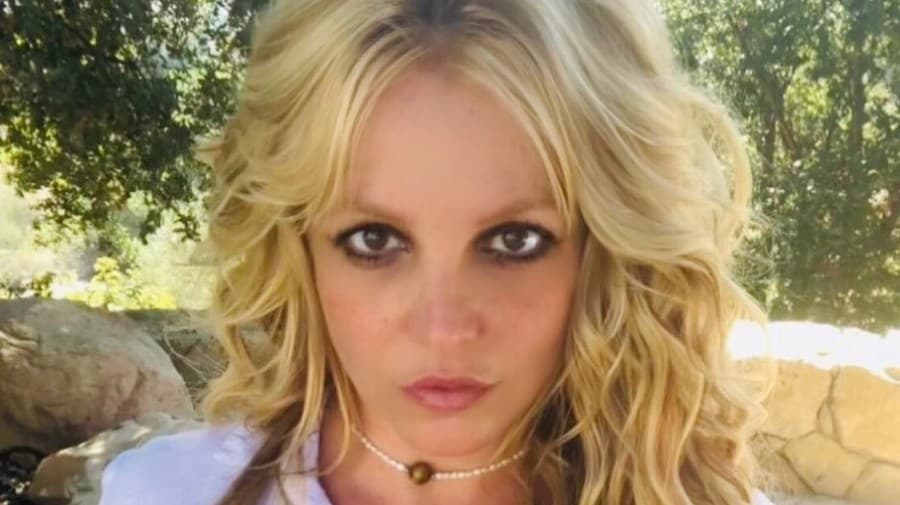 Britney sa často s fanúšikmi delí o zábery z jej súkromného života.