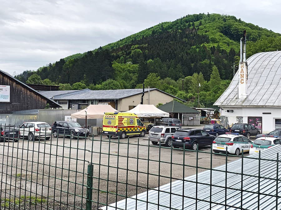 Na miesto okamžite prišli policajti i záchranka, museli však počkať, kým veterinár uspí šelmy.