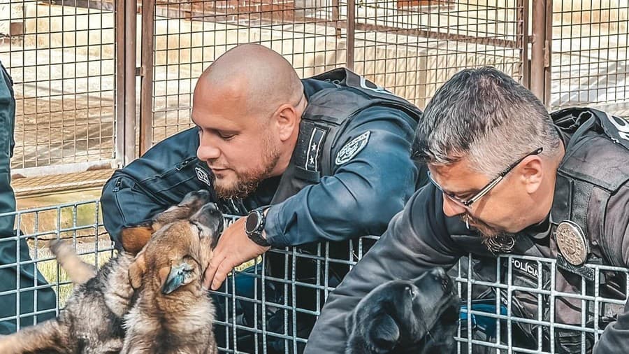 Naši policajti dostali do