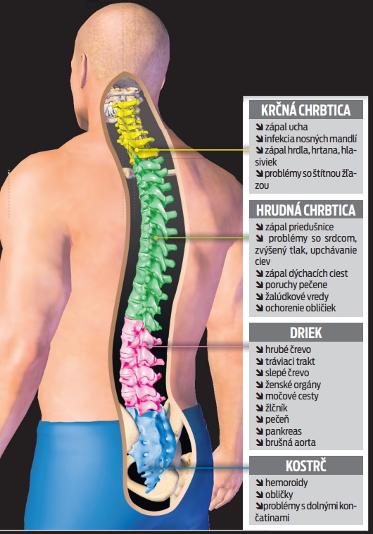 Na čo poukazuje bolesť častí chrbtice