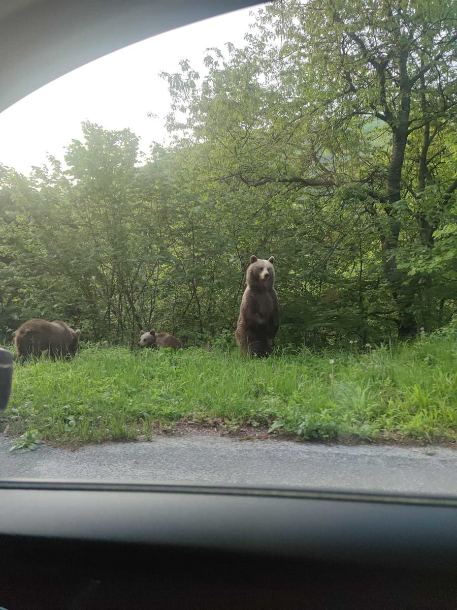 Na tento zážitok Michal