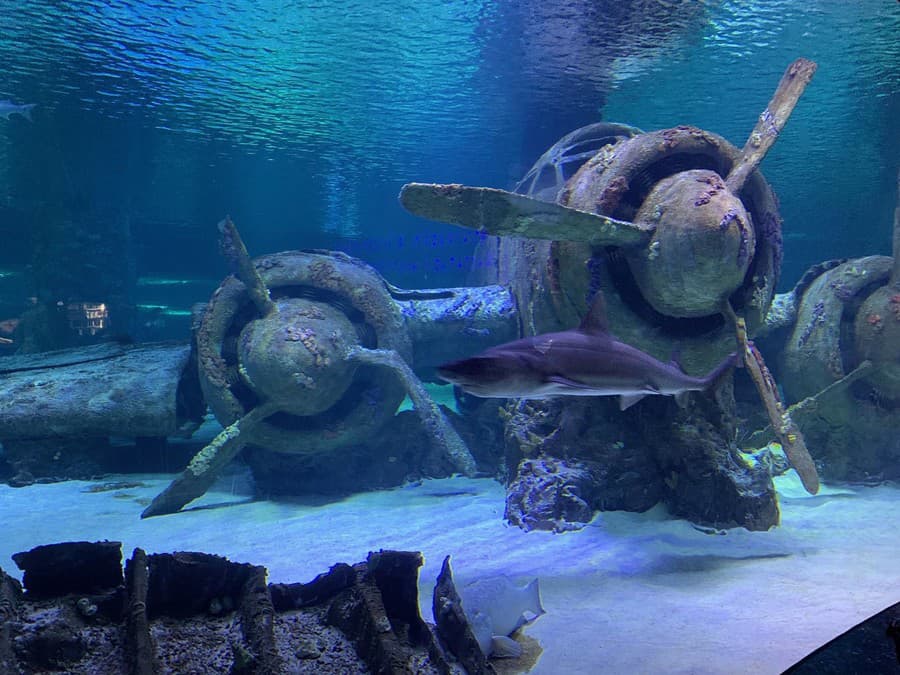 Aquarium Antalya