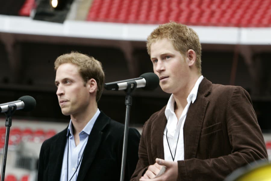 Bratia Harry a William