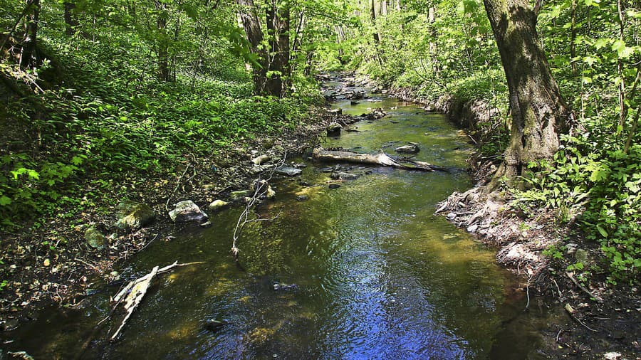 Envirofond vyčlenil peniaze na