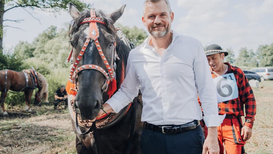 Na snímke predseda strany