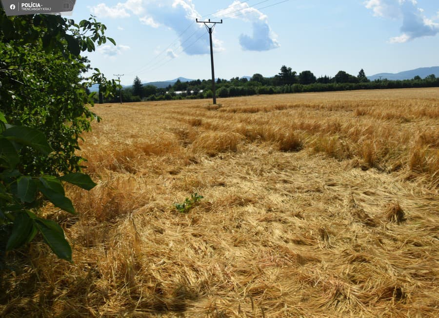 Služobný pes vystopoval ukradnutý