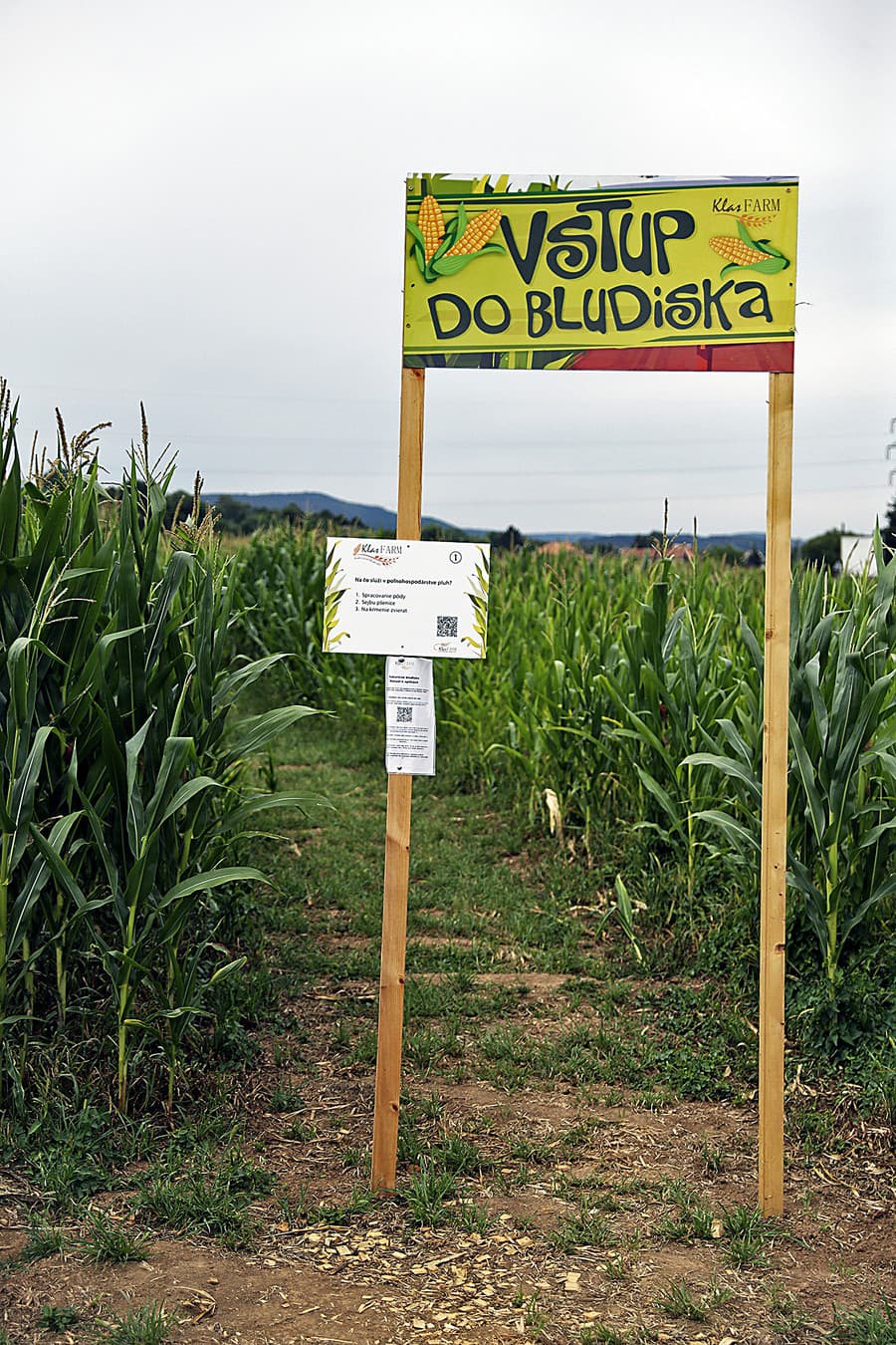 Tínedžerka sa pri vstupe do kukuričného bludiska vybavila aj mapkou.