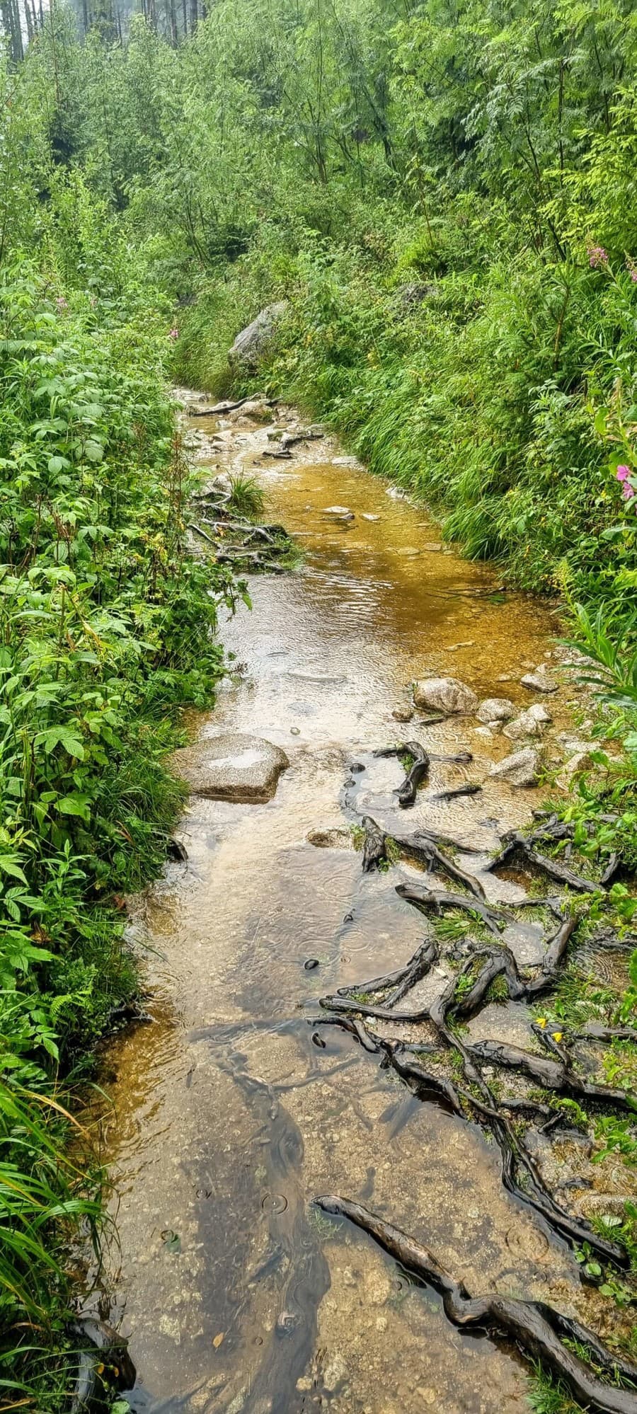 Horská záchranná služba upozorňuje,