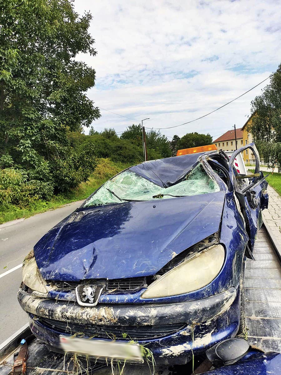 Peugeot skončil v jarku na streche. 