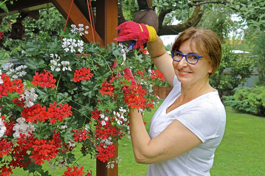 Danica Nejedlá, moderátorka