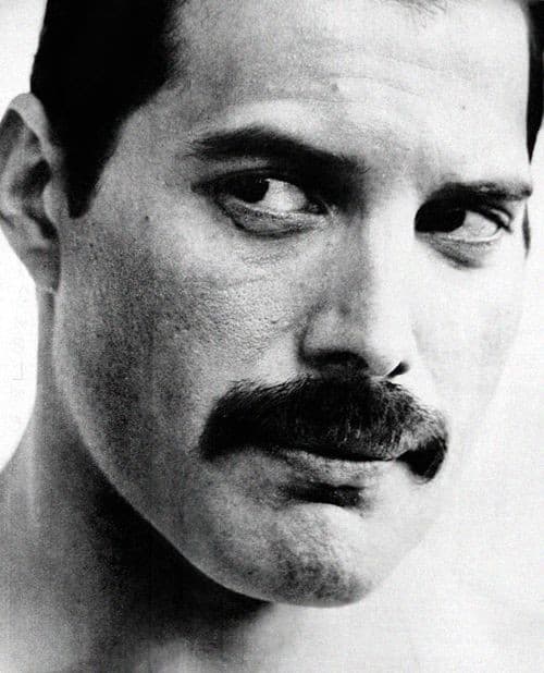 Freddie Mercury  (†