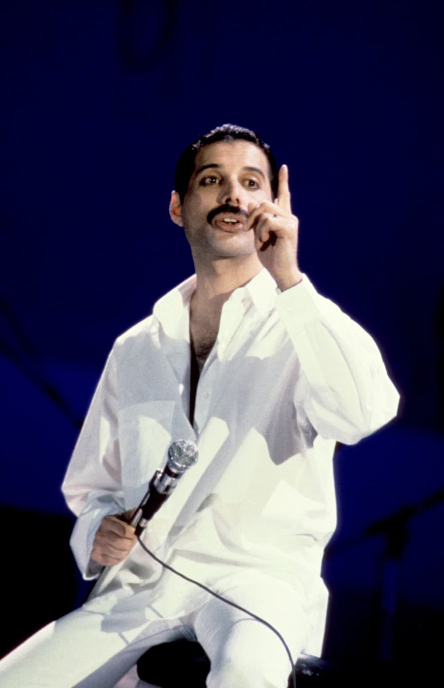 Freddie Mercury bol slávny