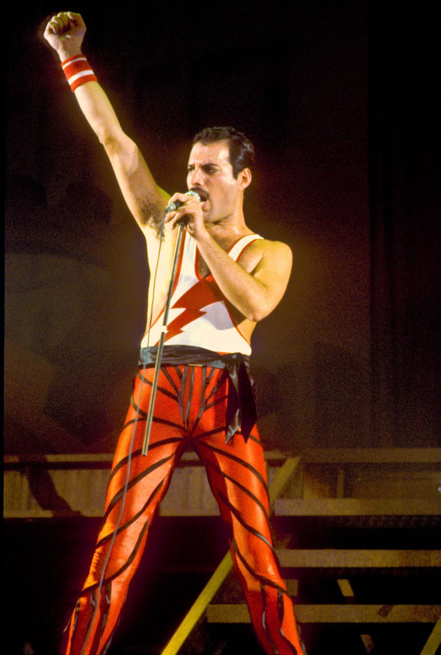 Freddie Mercury bol slávny