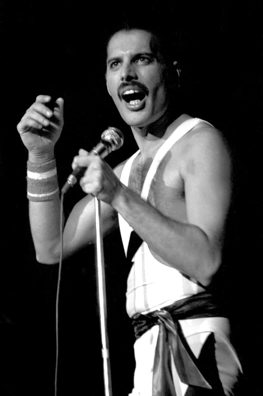 Freddie Mercury bol slávny