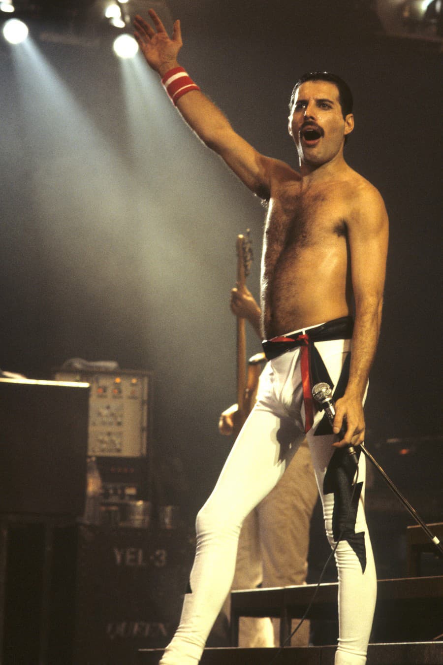 Freddie Mercury bol slávny