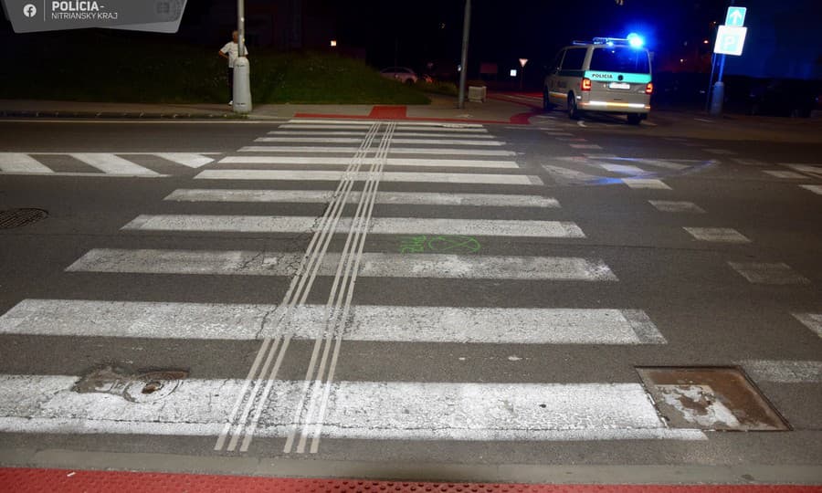  Policajti vodičku podrobili