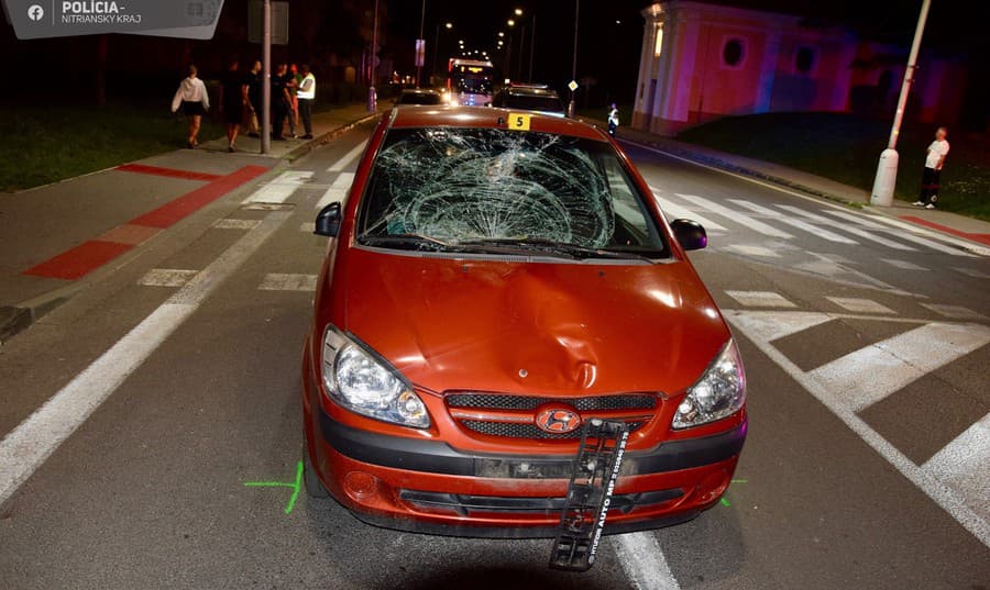  Policajti vodičku podrobili