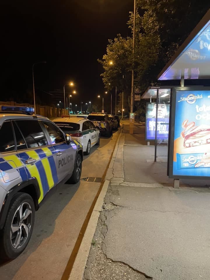 Polícia pátrala po nezvestnej Soni.
