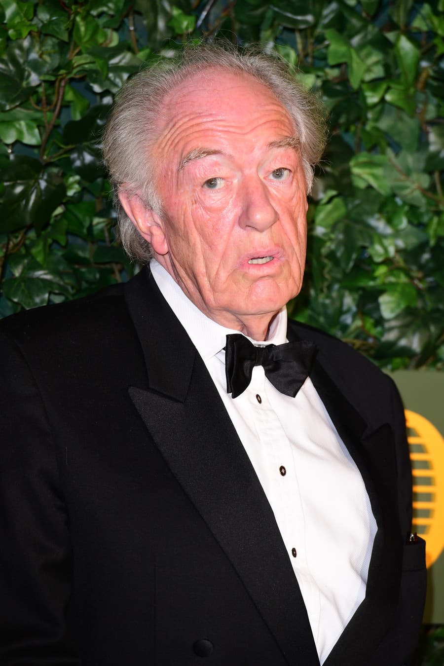 Zomrel herec Michael Gambon