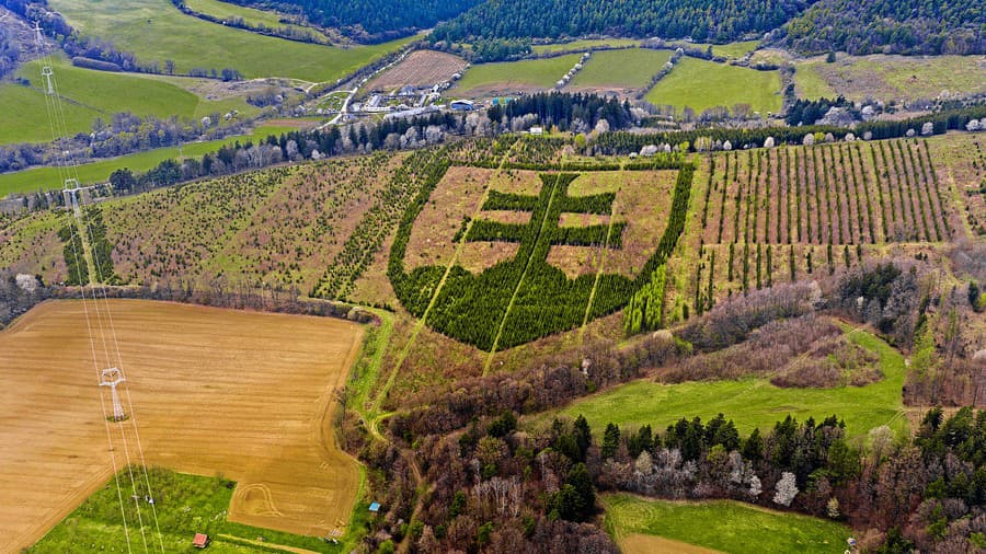 Desiatky tisíc stromov vytvorili obrí štátny znak, ktorý vidno najlepšie z vtáčej perspektívy. 