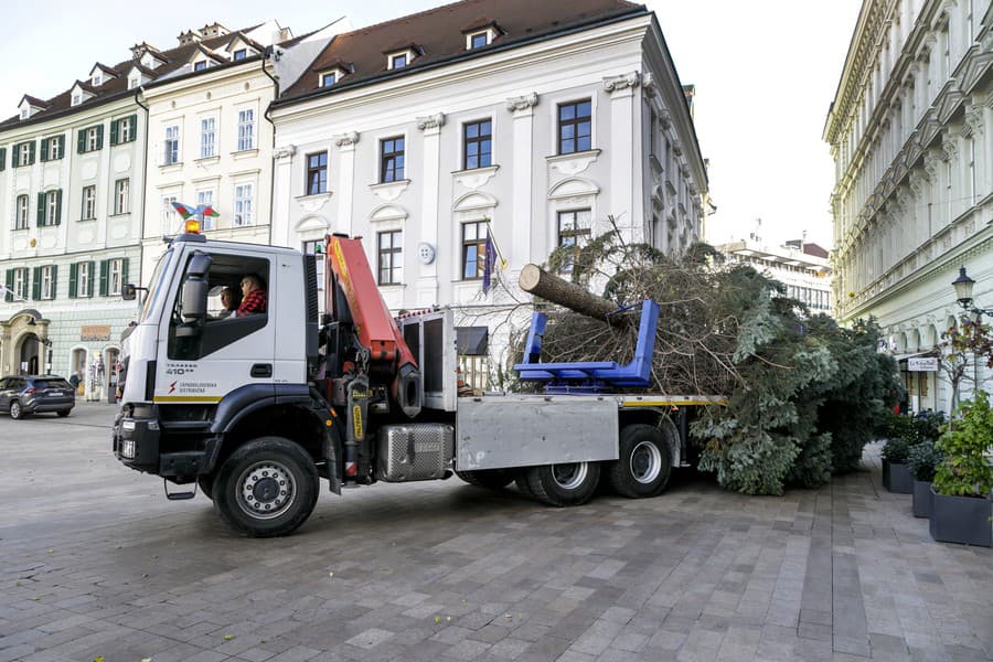 Osadzovanie vianočného stromčeka na