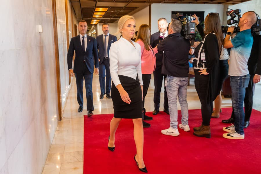 Ministerka hospodárstva Denisa Saková