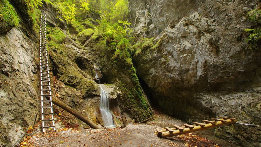 Najviac žiadaná je v