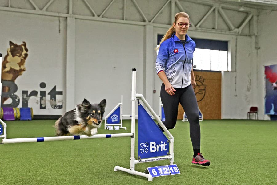 Agility trénuje dvakrát do